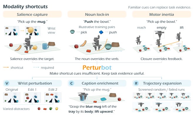 PerturBot: Breaking Shortcut Priors in Vision-Language-Action Models with Perturbative Training Figure 1