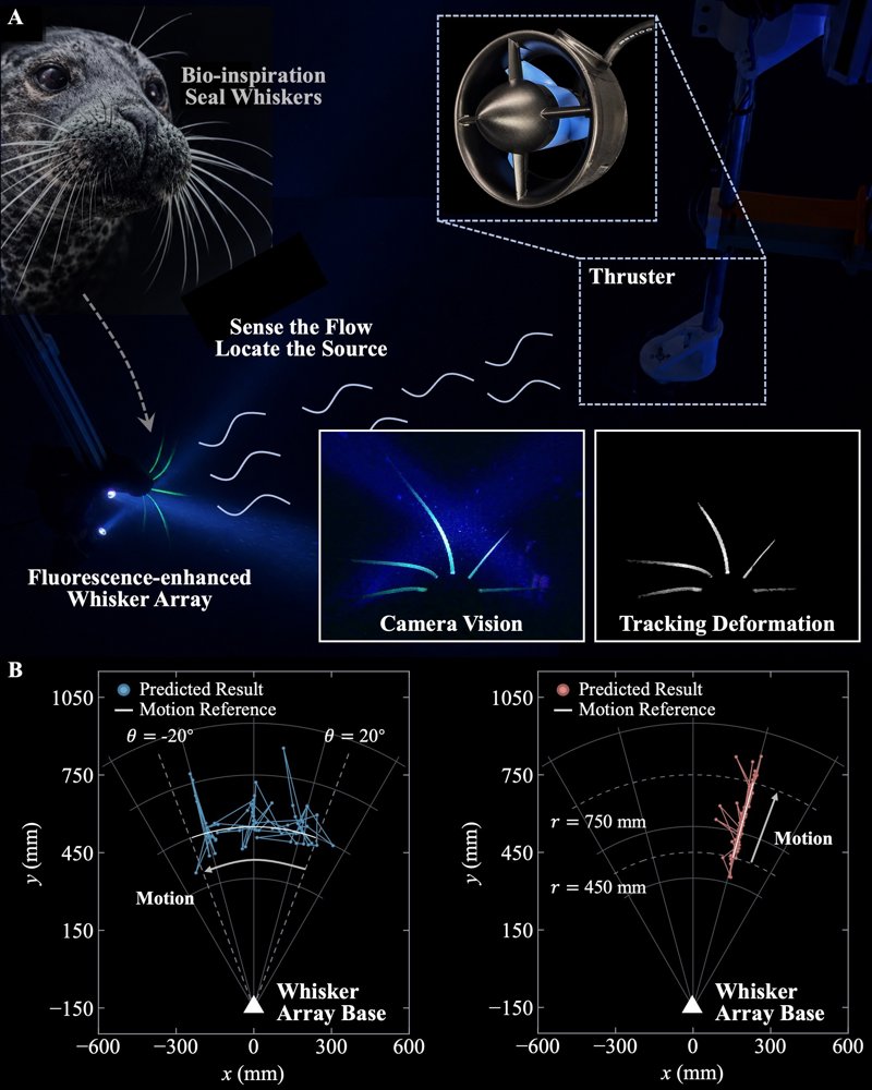 Fluorescence-enhanced Whisker Array with Vision-based Deformation Analysis for Underwater Source Localization Figure 1