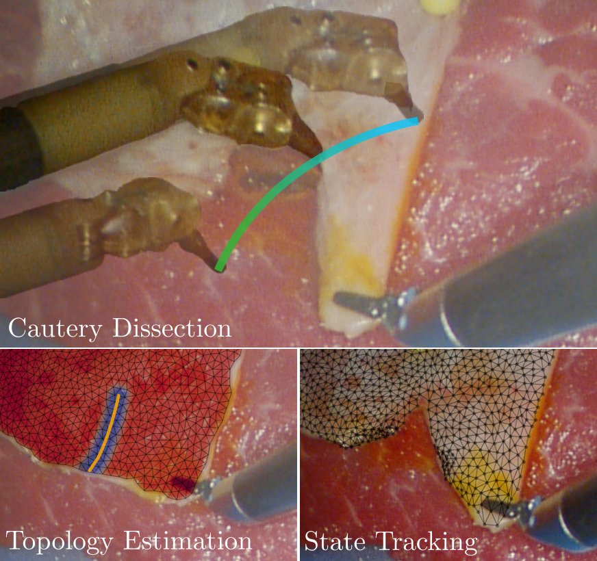 ProCut: Probabilistic Cutting Topology for Autonomous Electrosurgical Tissue Dissection Figure 1