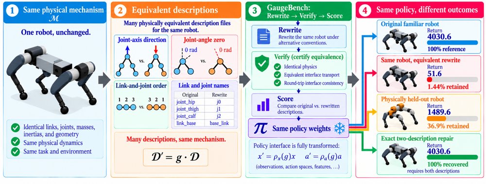 The Robot Is Not Its Description: GaugeBench for Representation Robustness in Morphology-Aware Policies Figure 1