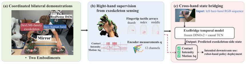 ExoBridge: Learning a Bare Hand to Hand-Worn Exoskeleton Mapping through Human Limb Coupling Figure 1
