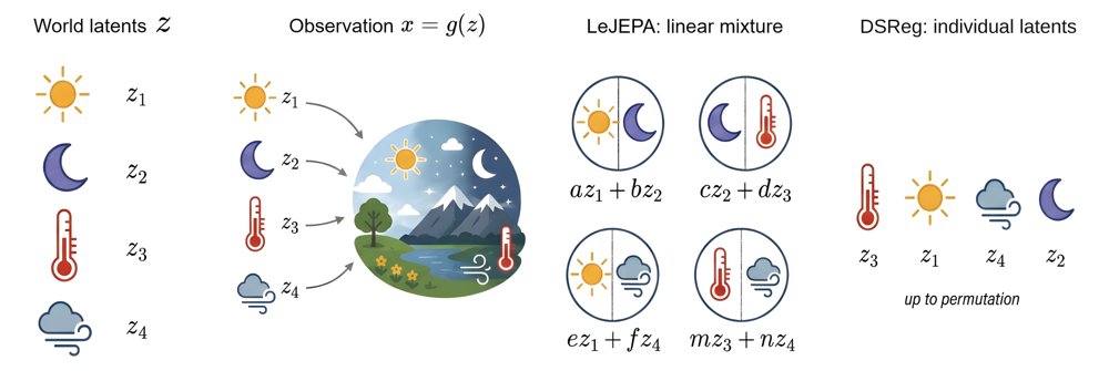 DSReg: Provably Recovering Individual World Latents without Reconstruction Figure 1