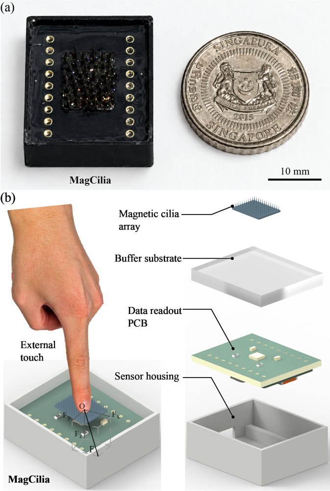 MagCilia: A Compact Magnetociliary Tactile Sensor with 3D Force Sensing for Robotic Contact Perception and Grasping Feedback Figure 1