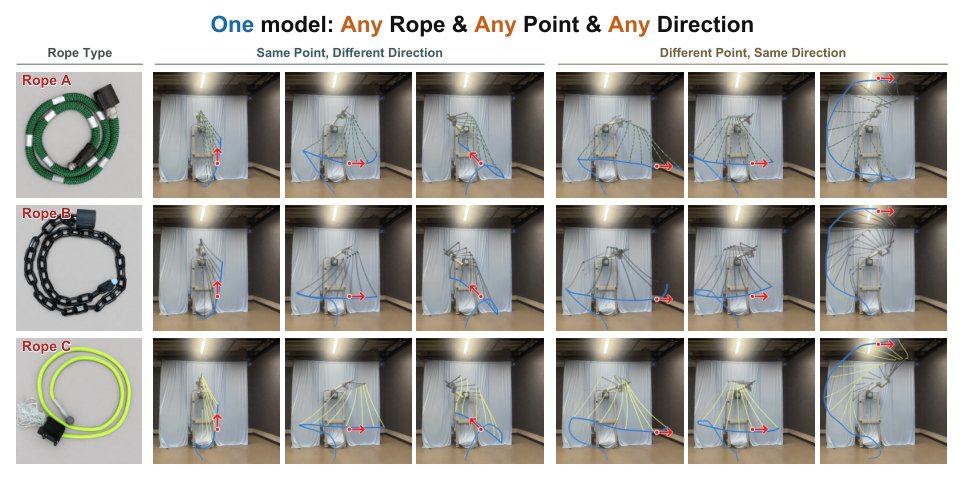 Point It, Strike It: Direction-Conditioned Dynamic Manipulation of Deformable Linear Objects Figure 1