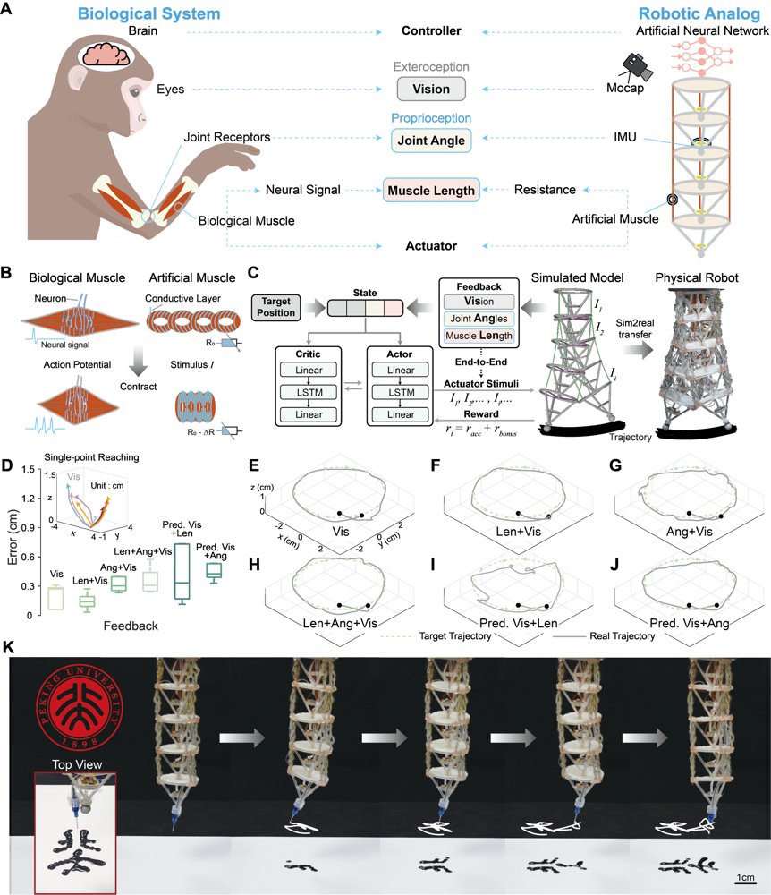 Decoding Neural Population Dynamics through Robotic Analog Figure 1