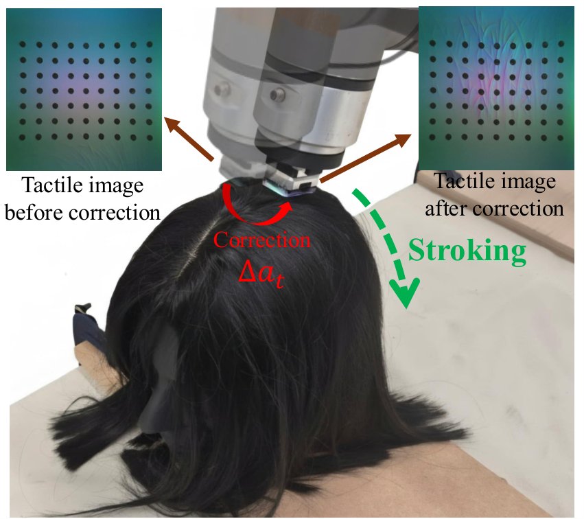 TacHair: Tactile Contact-Distribution Guided Online Correction for Robotic Hair Stroking and Perception Figure 1