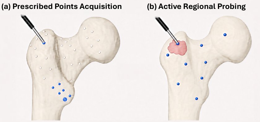 ActiveReg: Information-Driven Active Regional Probing for Partial-to-Full Bone Registration Figure 1
