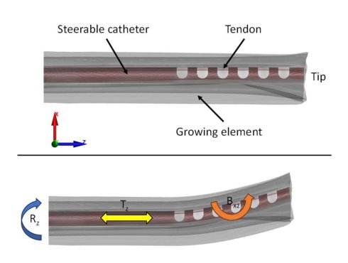 Image-Based Path-Planning for Navigation of Soft-Growing Robots in the Spinal Sub-Arachnoid Space Figure 1