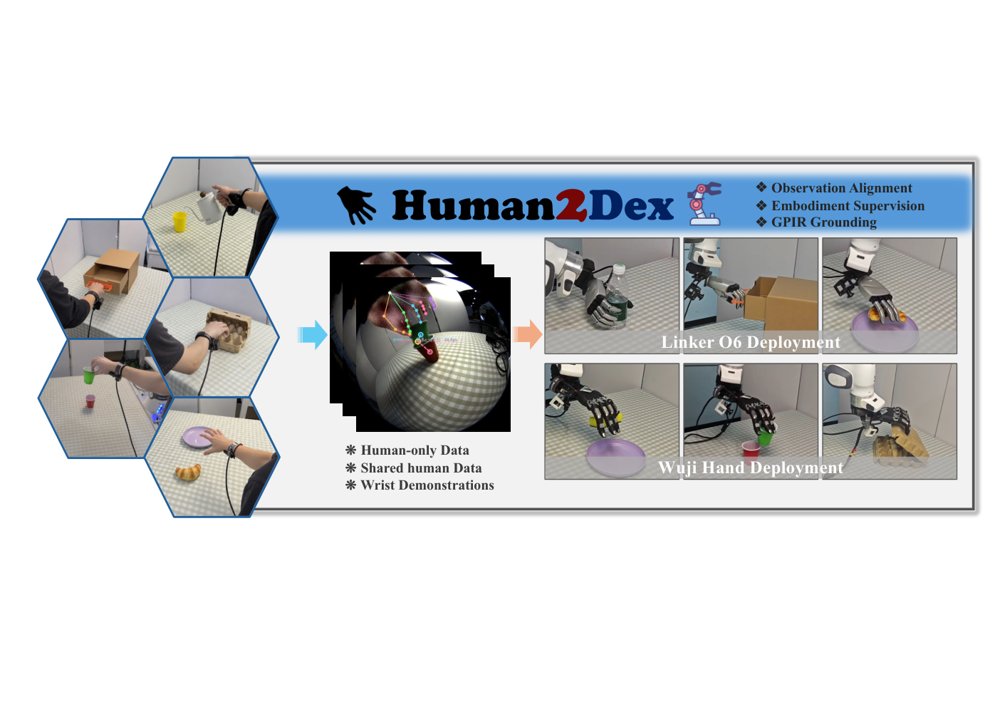 Human2Dex: Dexterous Robot Learning from Wrist-Centric Human Demonstrations Figure 1