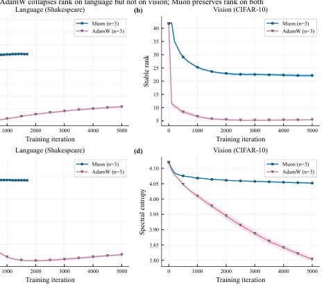 The Spectral Dynamics and Noise Geometry of Muon Figure 1