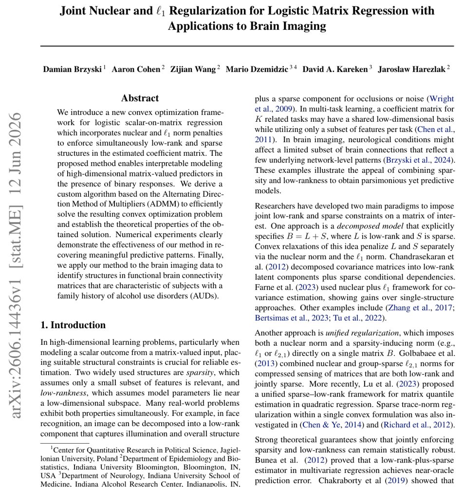 Joint Nuclear and $\ell_1$ Regularization for Logistic Matrix Regression with Applications to Brain Imaging Figure 1
