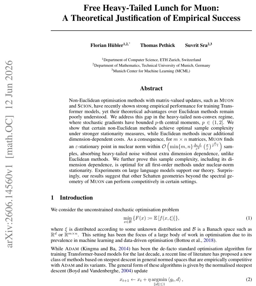 Free Heavy-Tailed Lunch for Muon: A Theoretical Justification of Empirical Success Figure 1