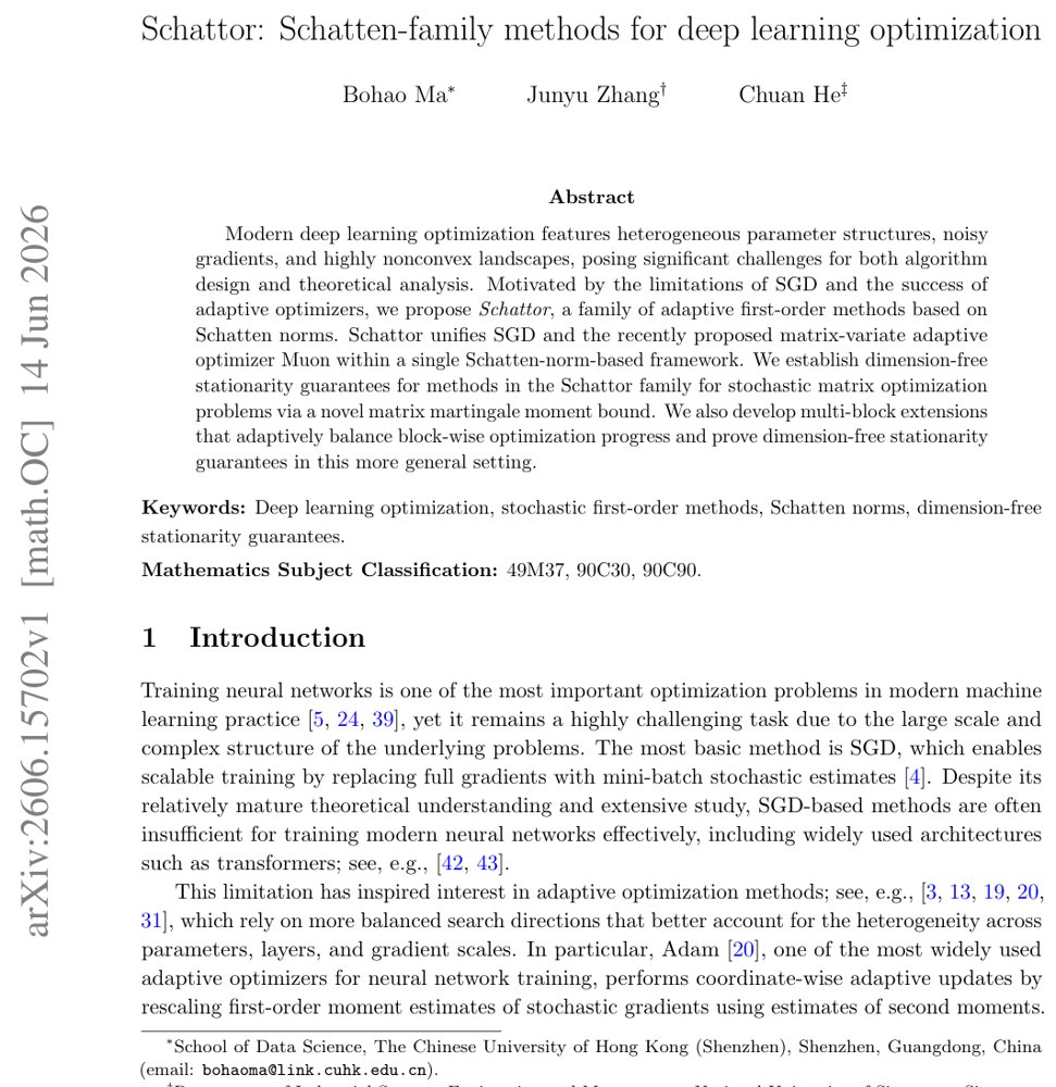 Schattor: Schatten-family methods for deep learning optimization Figure 1