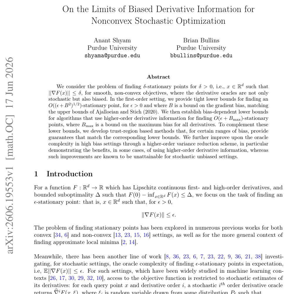 On the Limits of Biased Derivative Information for Nonconvex Stochastic Optimization Figure 1