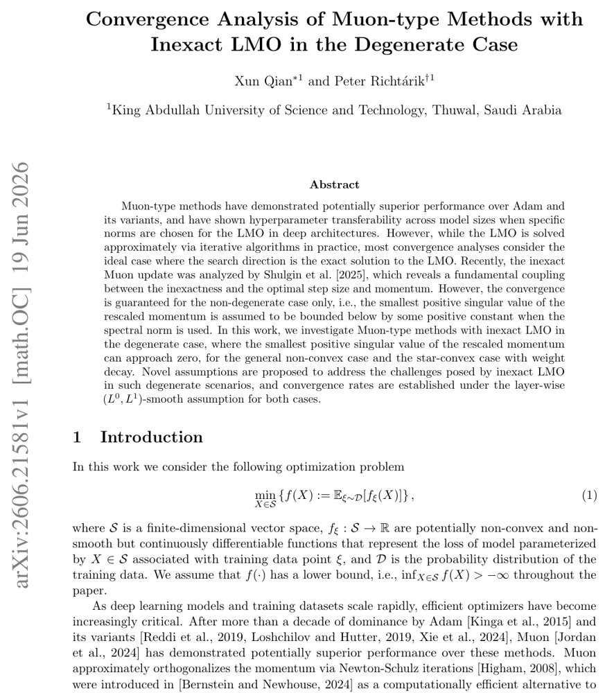 Convergence Analysis of Muon-type Methods with Inexact LMO in the Degenerate Case Figure 1