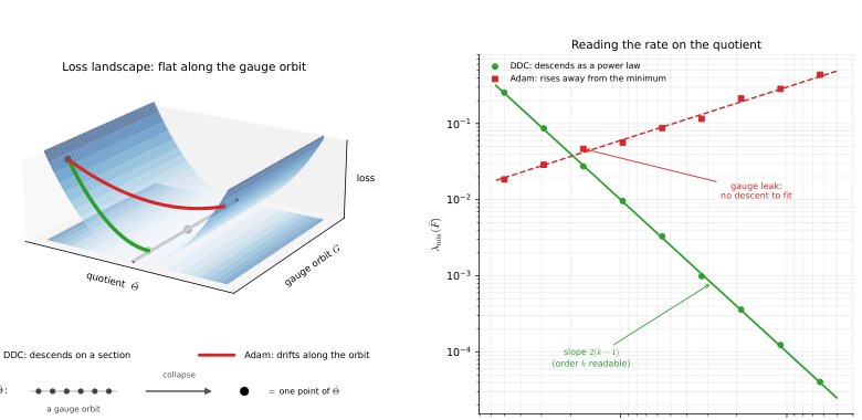 Dead-Direction Conditioners: Gauge-Equivariant Preconditioning for Deep Networks Figure 1