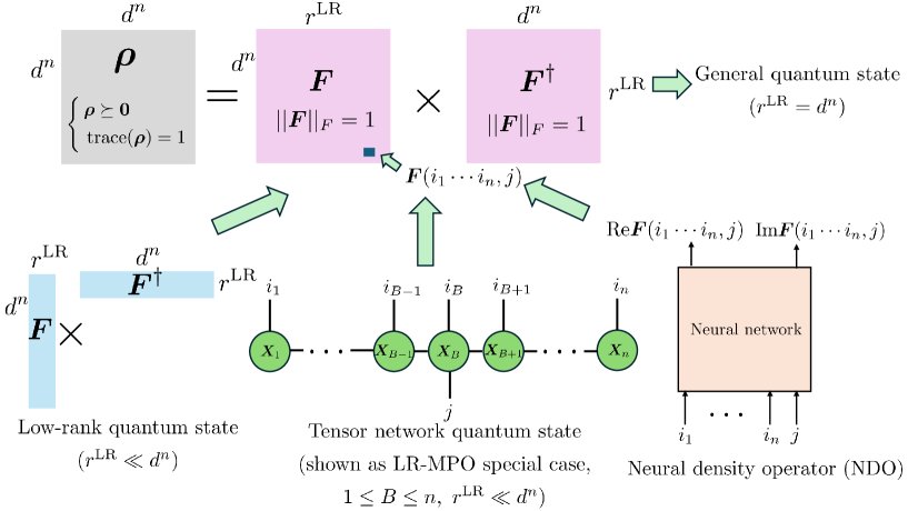 Structured Factorization Approaches for Quantum State Tomography Figure 1