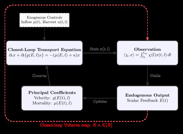 Endogenous Feedback in Size-Structured Transport Equations Figure 1