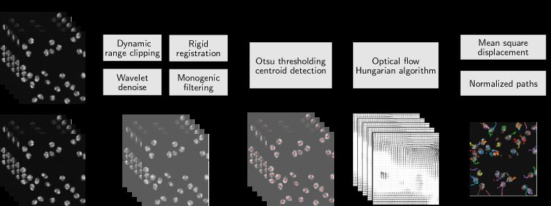 ARGUS: Accelerated, Robust, General, and Unsupervised Cell Tracking Solutions Figure 1