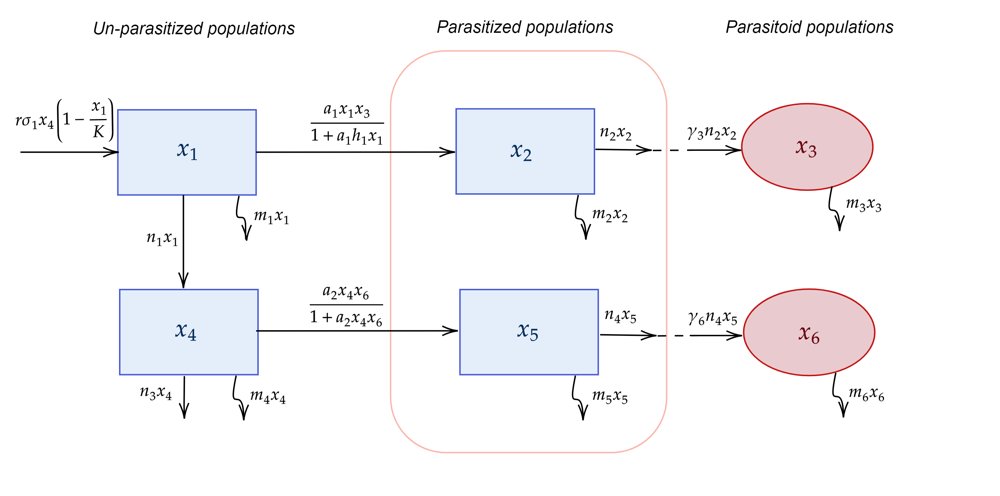 Host-Parasitoid Dynamics and Biological Control of the Sugarcane Borer Figure 1