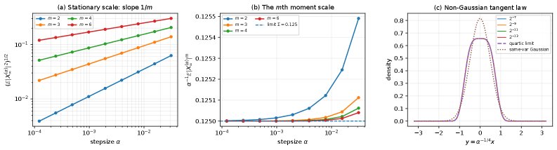 Scaling Limits of Constant-Stepsize SGD at Flat Minima Figure 1