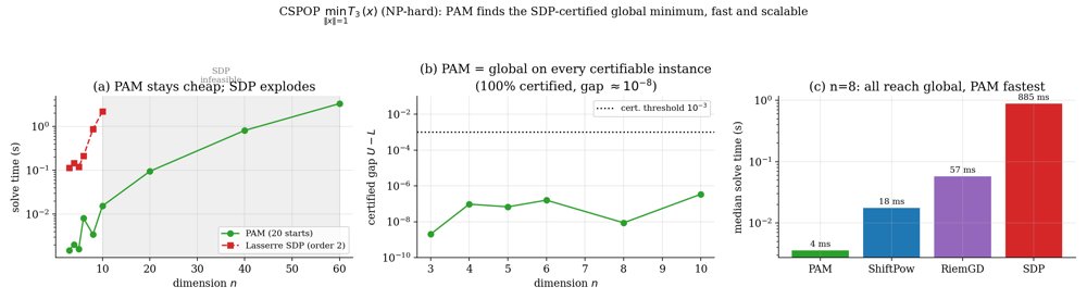 A Homogeneous Tensor Framework for High-Order Trust-Region and Spherical Polynomial Optimization Figure 1