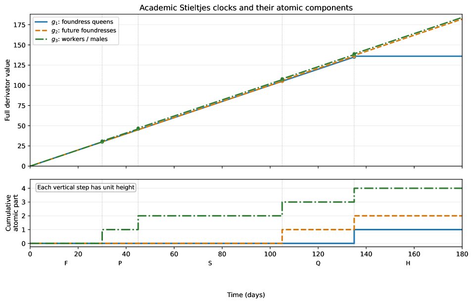 Exact discrete-adjoint optimization of trap timing and placement in a Stieltjes-time reaction-diffusion model: A Galicia case study Figure 1