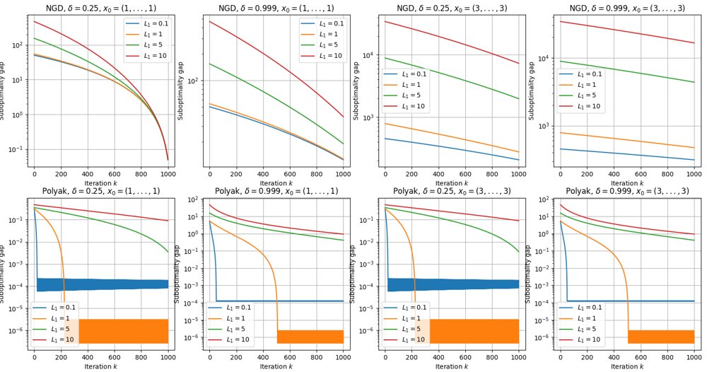 Normalized First-Order Methods for Convex (L0, L1)-Smooth Optimization with Inexact Gradients Figure 1