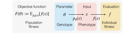 Accelerating Evolutionary Strategy via Rao-Blackwellizing Realization of Uncertain Input Figure 1