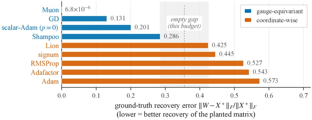 The Loss Does Not See the Basis, but Adam Does Figure 1