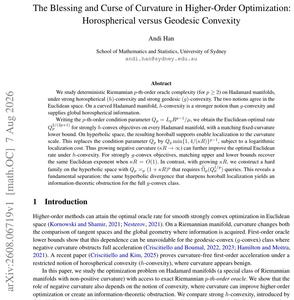 The Blessing and Curse of Curvature in Higher-Order Optimization: Horospherical versus Geodesic Convexity Figure 1