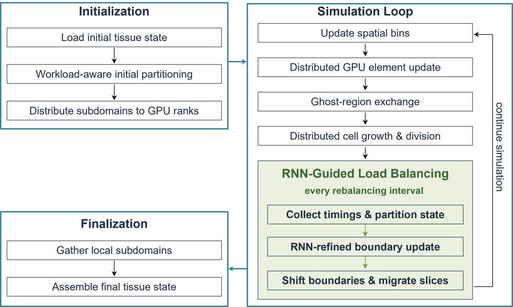 Scalable Multi-GPU Simulation of 3D Multicellular Growth with RNN-Based Workload Balancing Figure 1