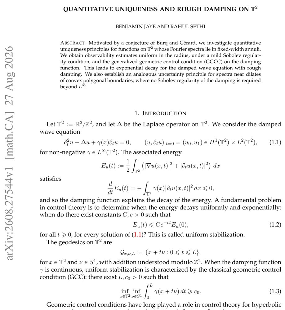 Quantitative Uniqueness and Rough Damping on $\mathbb T^2$ Figure 1
