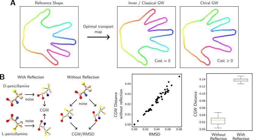 Beyond Procrustes distances: a multilinear Gromov-Wasserstein distance capturing chirality Figure 1
