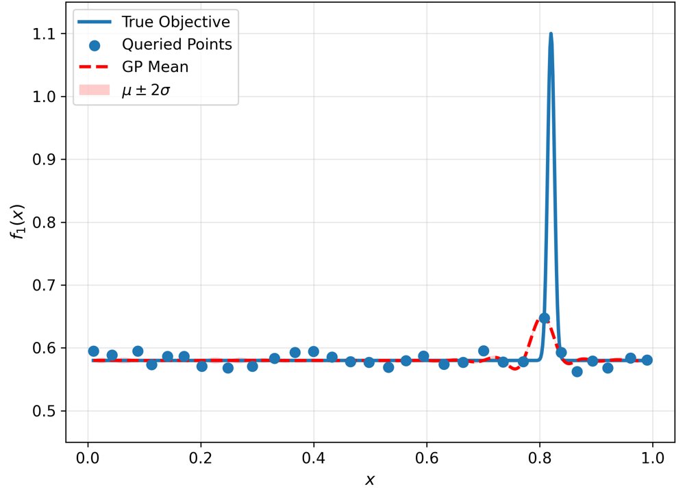 No-Regret Bayesian Optimization with Finite-Library Input-Warped Kernels Figure 1