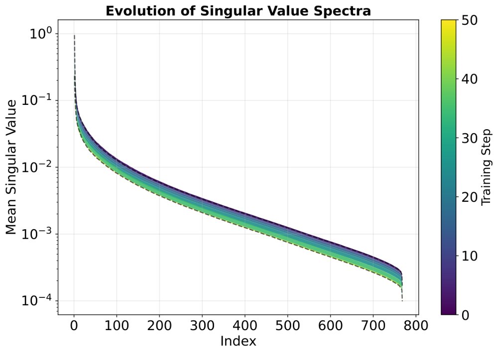 Rank-Efficient LoRA via Joint Tangent-Space Optimization under Isotropic Curvature Figure 1