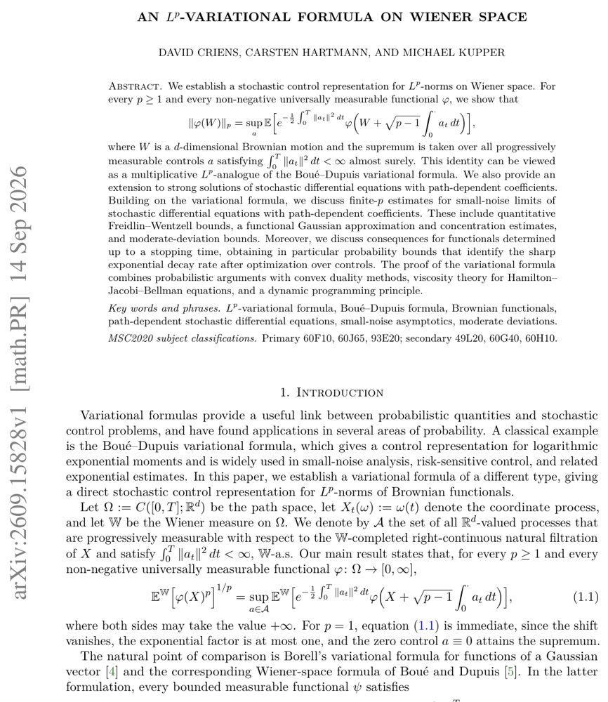 An $L^p$-Variational Formula on Wiener Space Figure 1