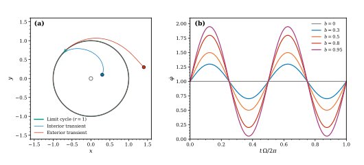 Beyond Phase Reduction: Amplitude Collapse in Optimal Control of Coupled Oscillators Figure 1