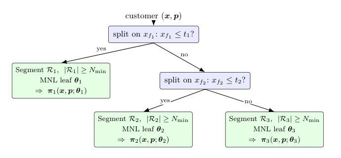 Learning Choice Model Trees for Feature-Based Multi-Product Pricing: Exact Optimization and Field Evidence Figure 1