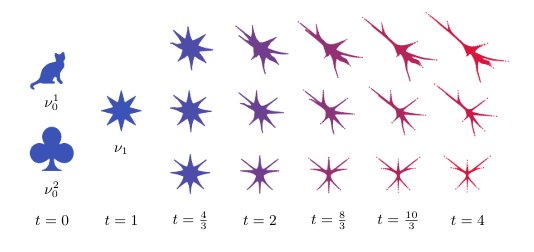 Toland duality and particle approximations for signed Wasserstein barycenters Figure 1