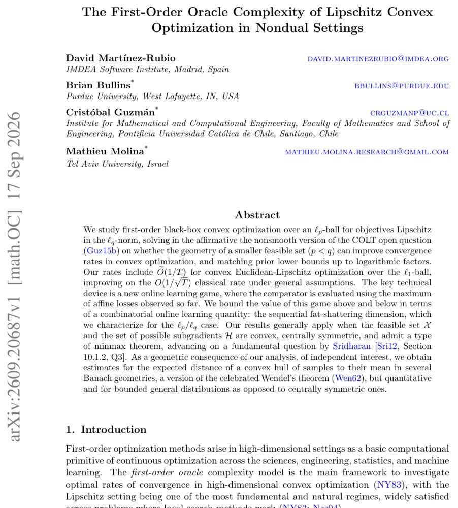 The First-Order Oracle Complexity of Lipschitz Convex Optimization in Nondual Settings Figure 1