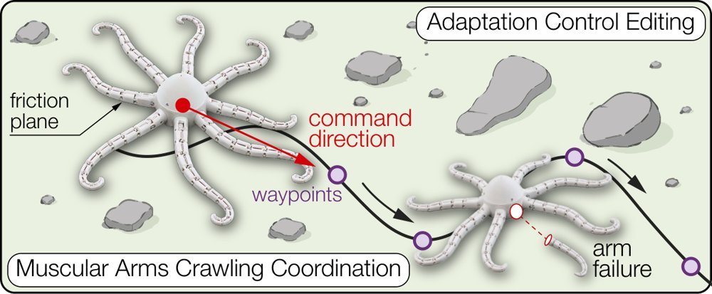 Diverse and Adaptable Arm Coordination for Octopus-Crawling via Diffusion-Based Uncertainty-Aware Optimization Figure 1
