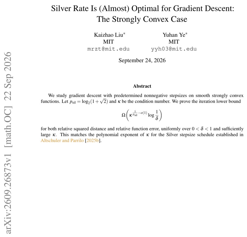 Silver Rate Is (Almost) Optimal for Gradient Descent: The Strongly Convex Case Figure 1