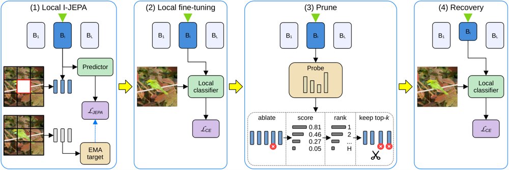 LocalProp: Neuro-Localized Memory-Efficient Backpropagation Figure 1