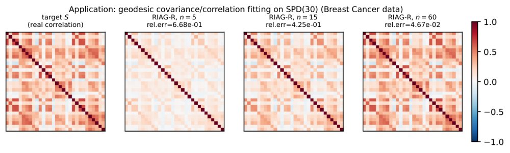 A Riemannian Inertial Adaptive Gradient Method with Momentum Restart Figure 1