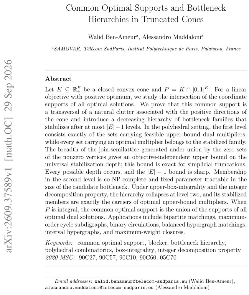 Common Optimal Supports and Bottleneck Hierarchies in Truncated Cones Figure 1