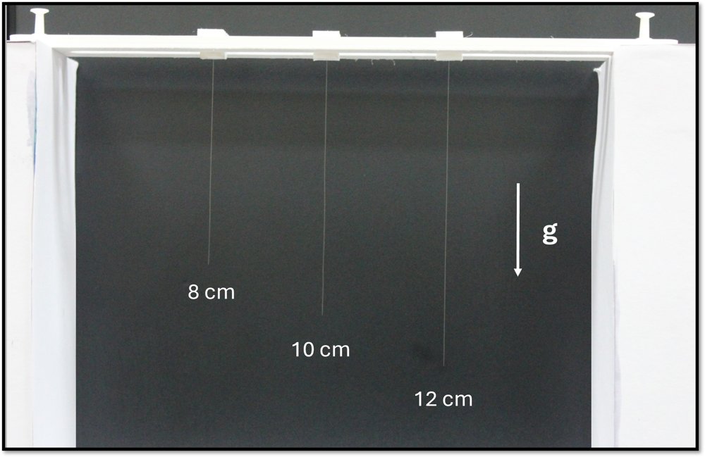 Magnetic Stabilization of the Greenhill Instability and Hysteretic Switching in Slender Rods Figure 1