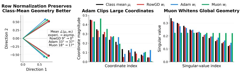 From Geometry to Generalization: Why Row Normalization Can Beat Adam and Muon Figure 1