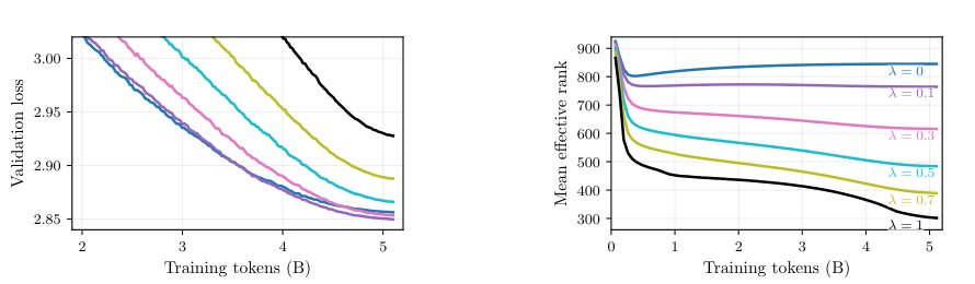 Spectral Weight Decay: Inducing Low-Rank Structure in Neural Network Weights Figure 1
