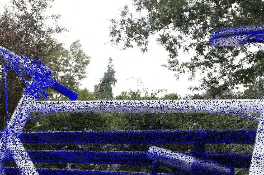 Mini-Splatting: Representing Scenes with a Constrained Number of Gaussians Figure 1